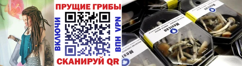 наркота Зеленодольск Галлюциногенные грибы мухоморы